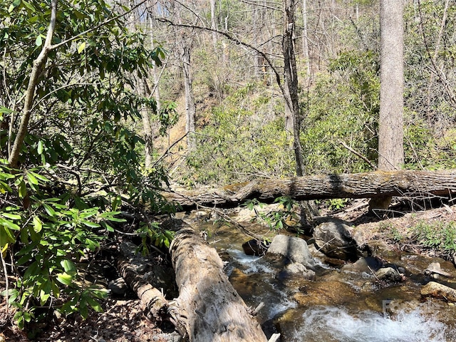 000 Pisgah Mountain Rd, Canton, NC 28716
