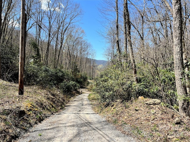 000 Pisgah Mountain Rd, Canton, NC 28716