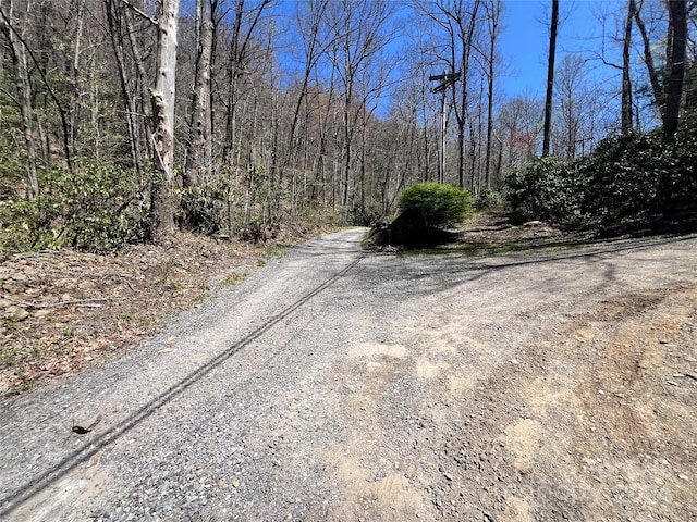 000 Pisgah Mountain Rd, Canton, NC 28716