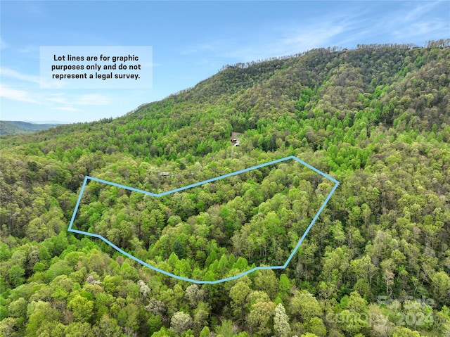 000 Bird Creek Estates Rd, Black Mountain NC, 28711 land for sale