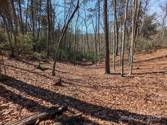 8636 Sleepy Hollow Rd Unit 12, Connelly Springs, NC 28612