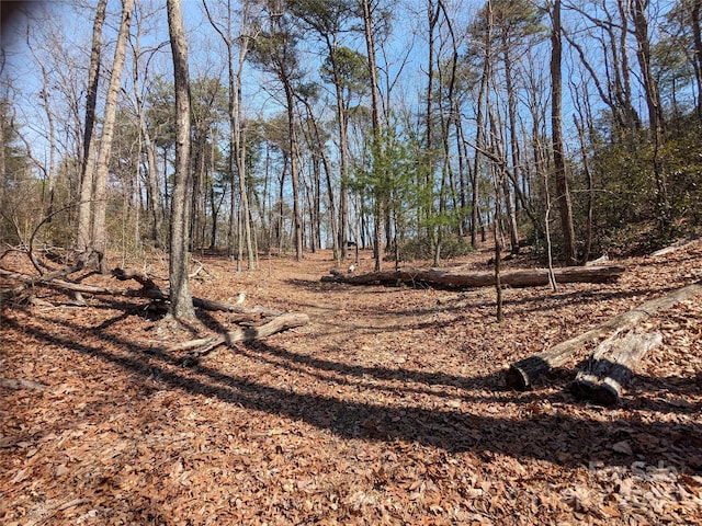 8636 Sleepy Hollow Rd Unit 12, Connelly Springs, NC 28612