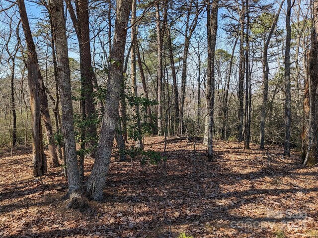 8636 Sleepy Hollow Rd Unit 12, Connelly Springs, NC 28612