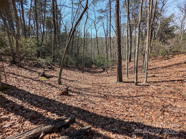 8636 Sleepy Hollow Rd Unit 12, Connelly Springs, NC 28612