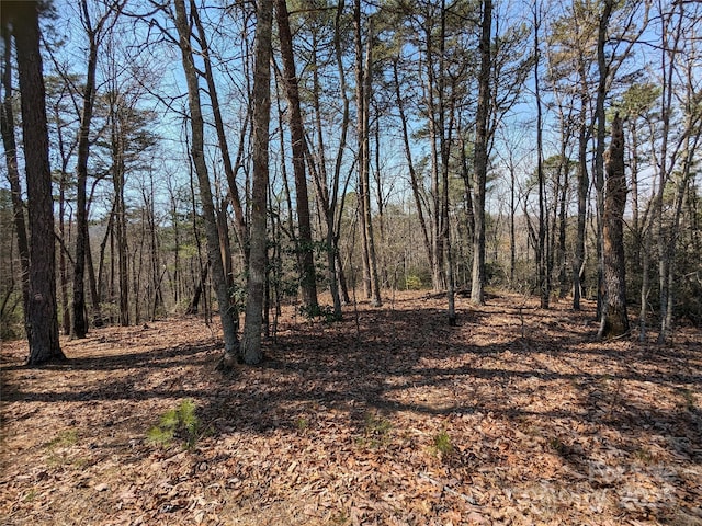 8636 Sleepy Hollow Rd Unit 12, Connelly Springs, NC 28612