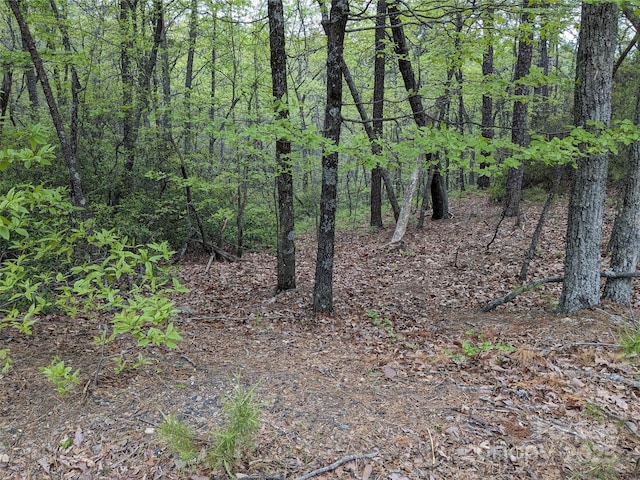 8624 Sleepy Hollow Rd Unit 13, Connelly Springs, NC 28612