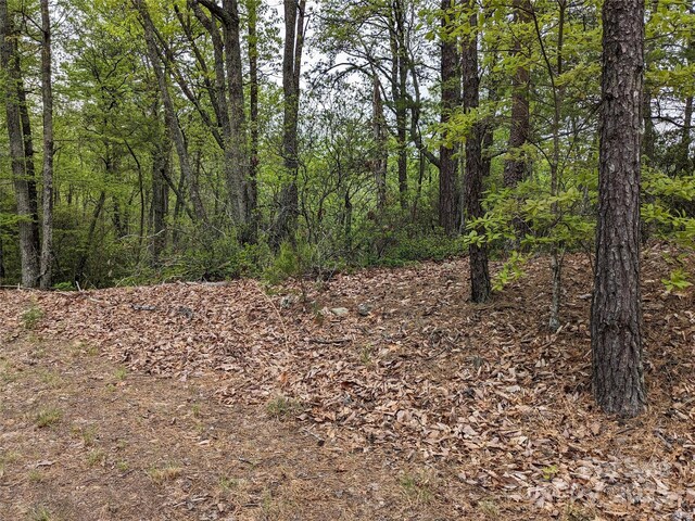8624 Sleepy Hollow Rd Unit 13, Connelly Springs, NC 28612