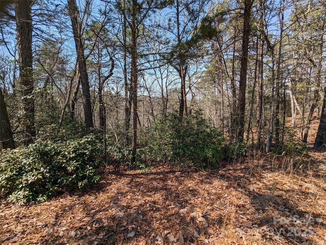 8624 Sleepy Hollow Rd Unit 13, Connelly Springs, NC 28612