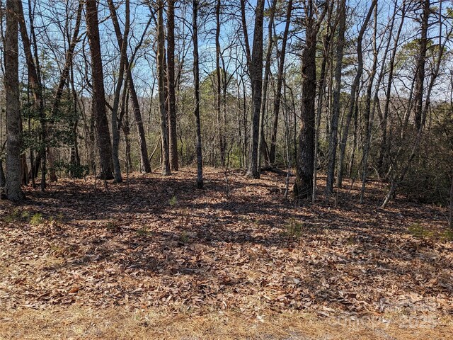 8624 Sleepy Hollow Rd Unit 13, Connelly Springs, NC 28612