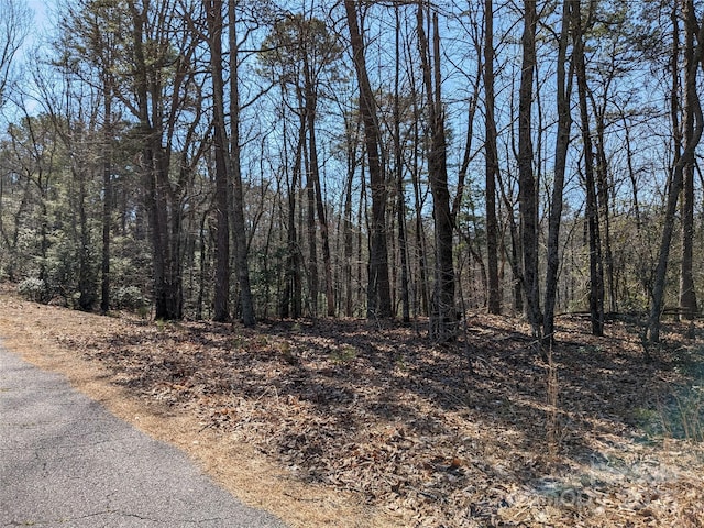 8624 Sleepy Hollow Rd Unit 13, Connelly Springs, NC 28612
