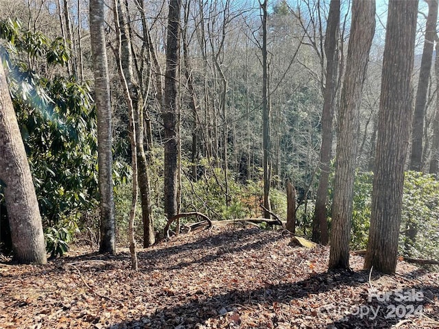 Listing photo 2 for TBD Tsuganawvi Ct, Brevard NC 28712