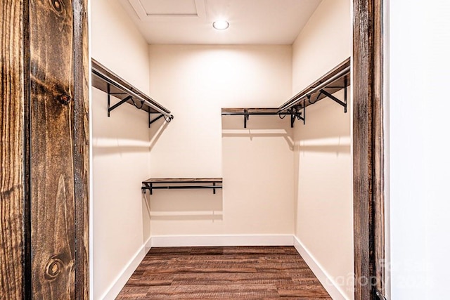 walk in closet featuring dark hardwood / wood-style floors