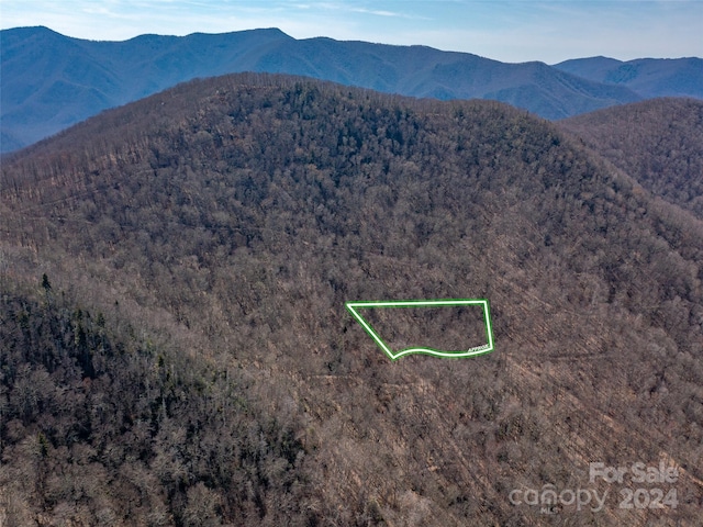 00 Deep Gap Rd, Burnsville NC, 28714 land for sale