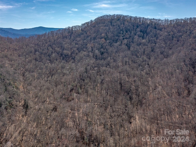 Listing photo 3 for 00 Deep Gap Rd, Burnsville NC 28714