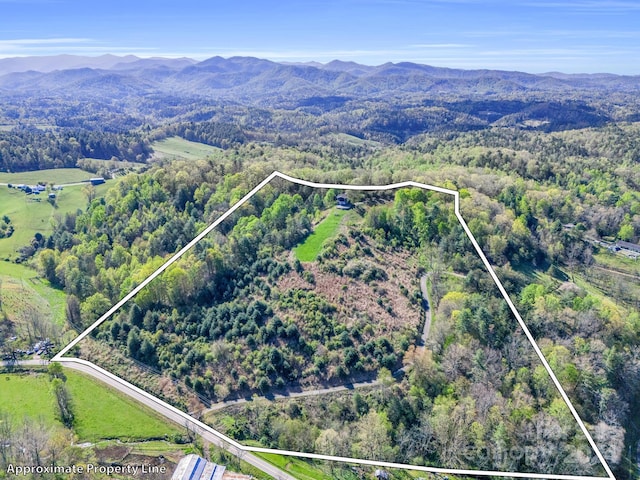 aerial view with a mountain view