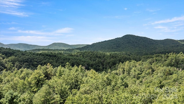 TractA Rock Creek Road, Zirconia NC, 28790 land for sale