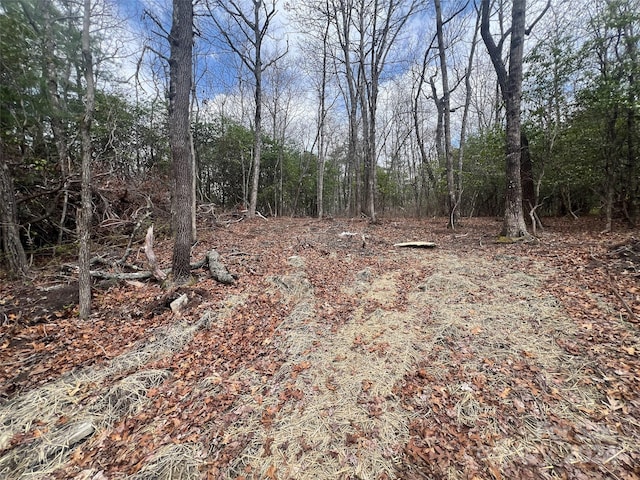 999 Mulberry Cir, Brevard NC, 28712 land for sale