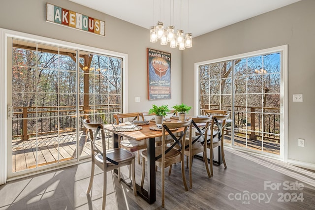 dining room featuring an inviting chandelier and hardwood / wood-style flooring