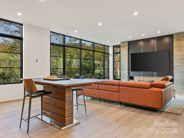 living room featuring light hardwood / wood-style floors