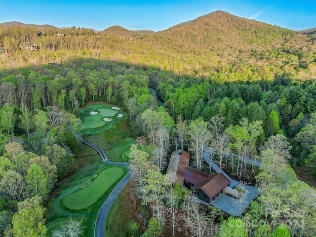 bird's eye view with a mountain view