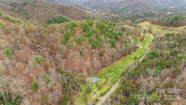 267 Holcombe Branch Rd, Weaverville NC, 28787 land for sale