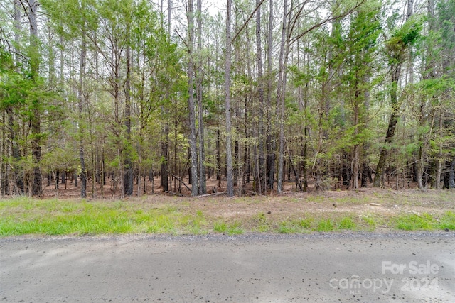 Listing photo 2 for TBD Sandlapper Dr Unit A, York SC 29745