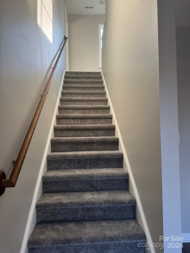 stairway featuring carpet floors