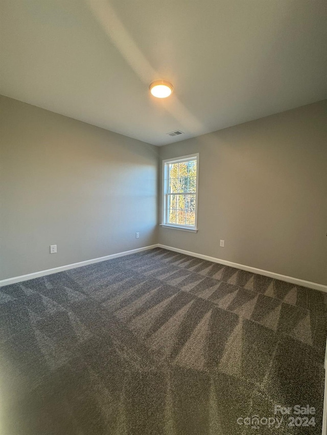 spare room featuring carpet floors