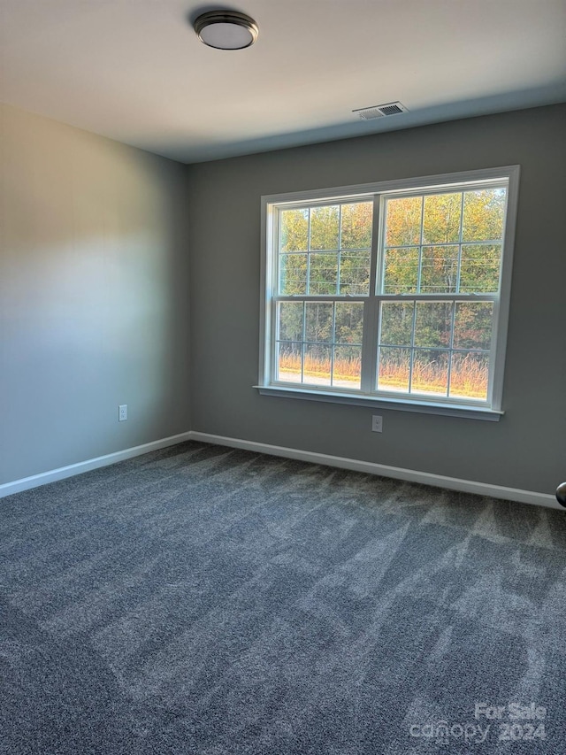 carpeted spare room featuring a wealth of natural light