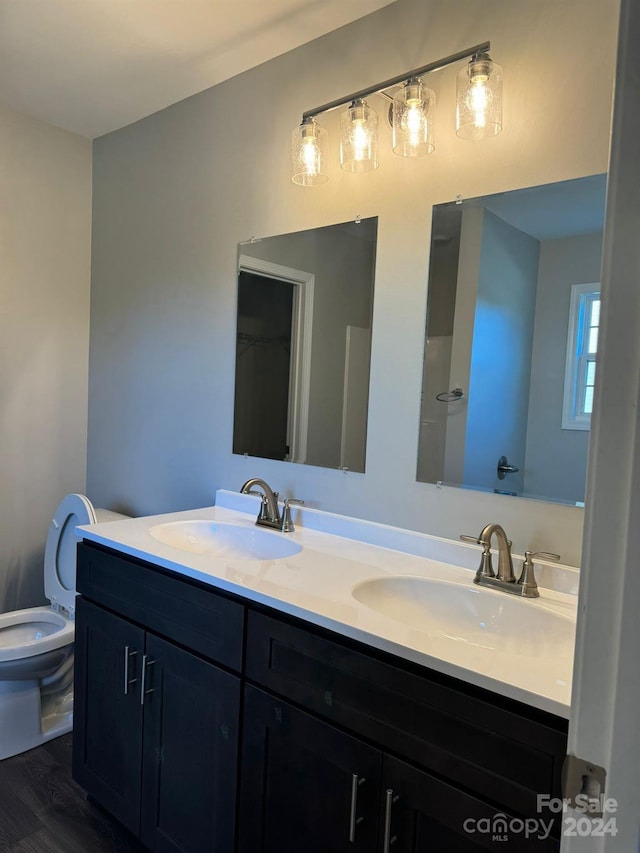 bathroom with vanity, toilet, and wood-type flooring