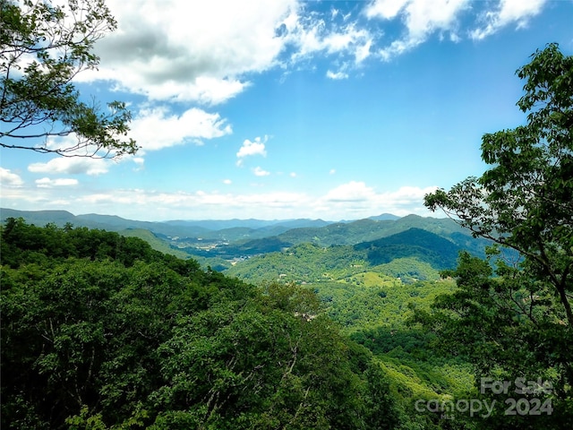 view of mountain feature