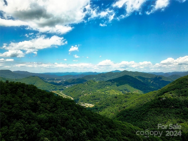 view of mountain feature