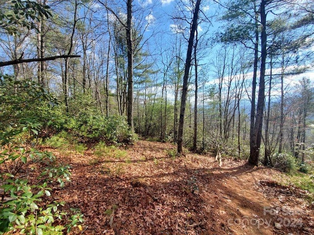 Listing photo 3 for 00 Elkins Rd, Bakersville NC 28705