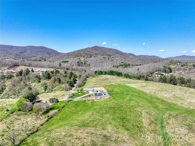 birds eye view of property featuring a mountain view