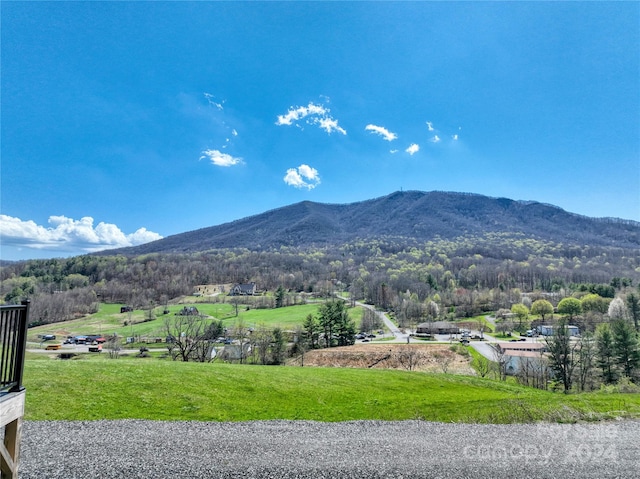 view of mountain feature