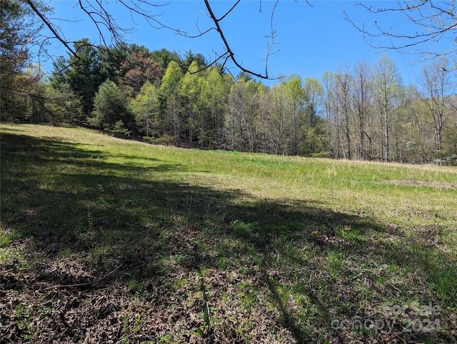 TBD Jaybird Lane, Flat Rock NC, 28731 land for sale