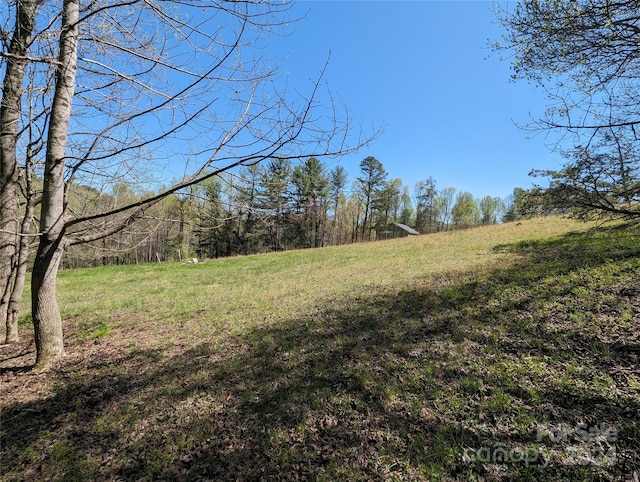 Listing photo 2 for TBD Jaybird Lane, Flat Rock NC 28731