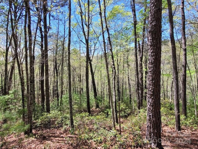 LOT21 Little Fox Run, Marion NC, 28752 land for sale