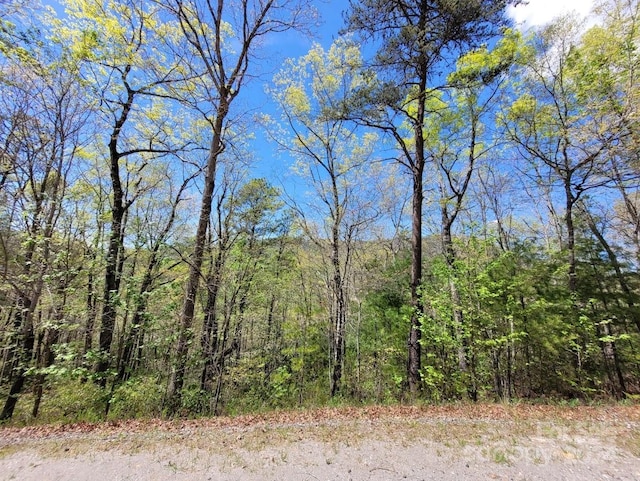 Listing photo 2 for LOT21 Little Fox Run, Marion NC 28752