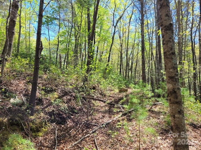 Listing photo 3 for LOT21 Little Fox Run, Marion NC 28752