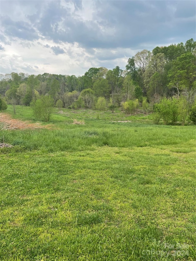 view of local wilderness