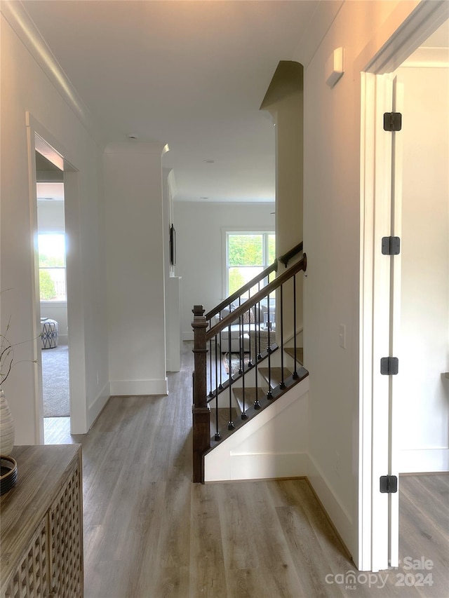 corridor featuring hardwood / wood-style flooring