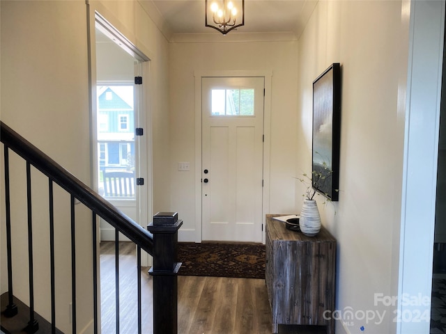 entrance foyer featuring dark hardwood / wood-style flooring, a wealth of natural light, and ornamental molding