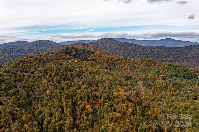 view of mountain feature