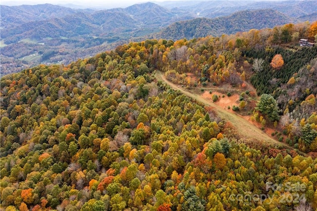 birds eye view of property featuring a mountain view