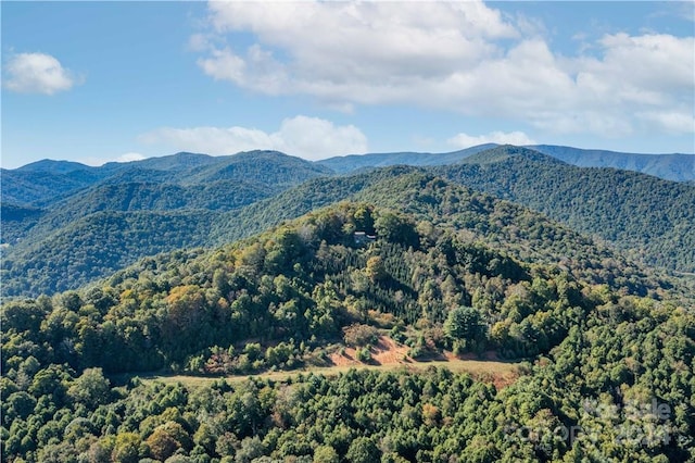 view of mountain view