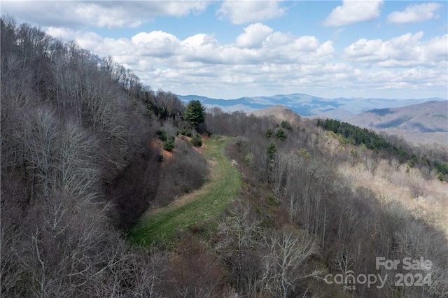 view of mountain view