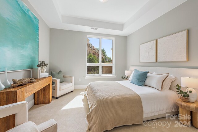 carpeted bedroom with a raised ceiling