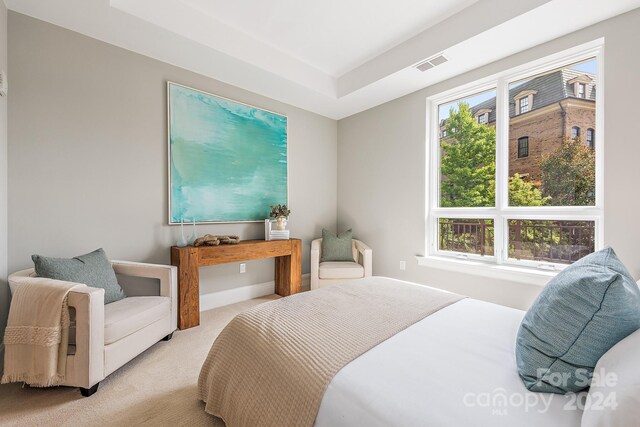 carpeted bedroom with multiple windows