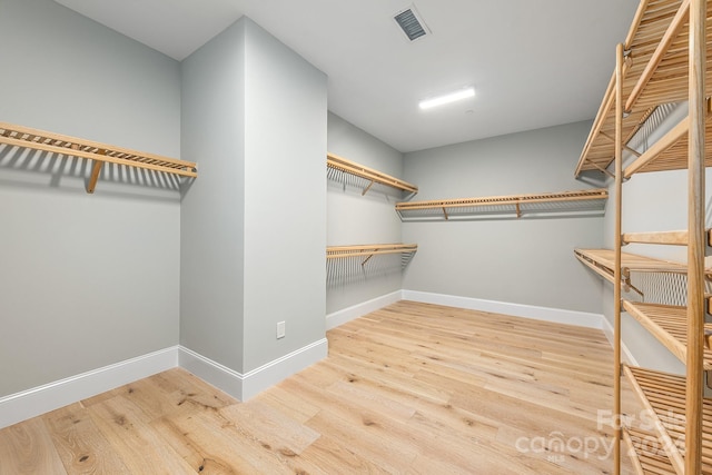 spacious closet featuring wood-type flooring